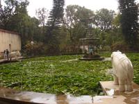 Elefantenrüsselbrunnen im Saheliyon ki Bari Park in Udaipur
