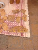 Fosile Funde in Jaisalmer