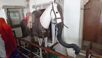 Eine Pferdefigur mit Elefantenrüssel im Stadtpalast in Udaipur