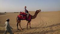 Kamel mit Herr in Sam in der Wüste Thar