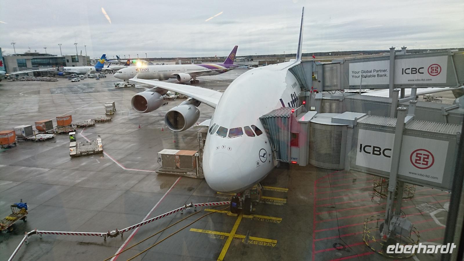 Unser Flieger zurück nach Frankfurt