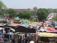 Viehmarkt Delhi