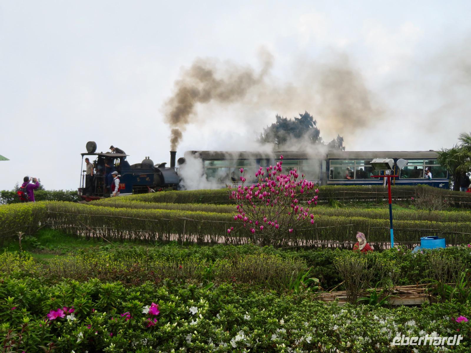 Darjeeling Dampflokomotive