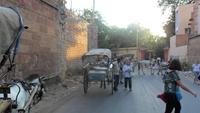 150 Jodhpur - Gruppenfahrt in der Pferdekutsche 2