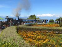 Toy Train Darjeeling - Ghom