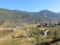 im Punakha Tal