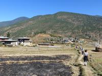 im Punakha Tal