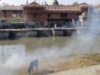 Pashupatinath