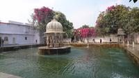 Im Stadtpark in Udaipur
