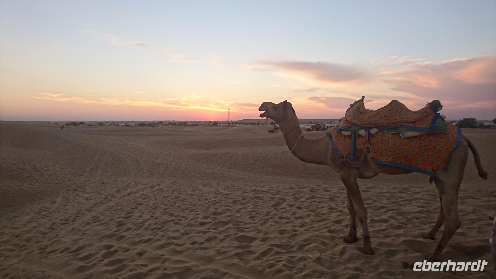 Abendstimmung in der Thar