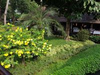 Indien, Kerala, Kumarakom Lake Resort