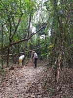 Indien, Kerala, Vogelpark