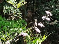 Indien, Kerala, Vogelpark