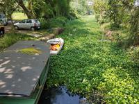 Indien, Kerala, Vogelpark
