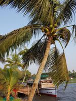 Indien, Kerala, Kumarakom Lake Resort