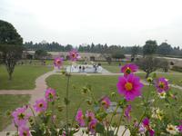 Indien, Delhi, Mahatma Ghandi Park