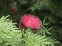 Indien, Flaschenputzer