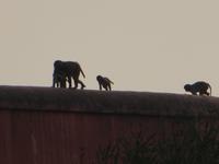 Indien, Agra, Taj Mahal