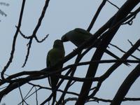 Indien, Agra, Taj Mahal