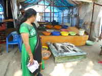 Indien, Kerala, Cochin, Fischmarkt