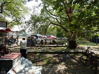 Indien, Kerala, Cochin