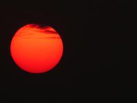 Indien, Kerala, Sunset Cruise