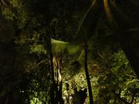 Indien, Kerala, Kumarakom Lake Resort