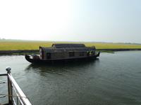 Indien, Kerala, Hausboot, Reisfelder hinten