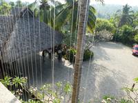 Indien, Kerala, Hotel Vivanta by Taj - Green Cove