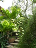 Indien, Kerala, Hotel Vivanta by Taj - Green Cove