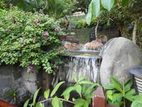 Indien, Kerala, Hotel Vivanta by Taj - Green Cove