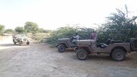 Jeepsafari in Khejrala