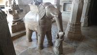 Heiliger Elefant in Ranakpur