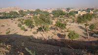Blick über den Friedhof zur Festung Jaisalmer