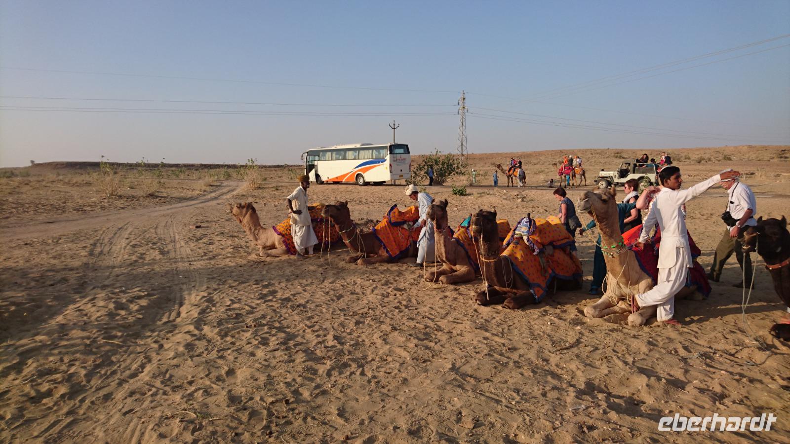 Auf zum Kamelritt bei Sam in der Wüste Thar