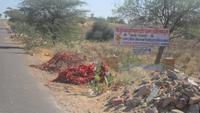 171 Indien - Tempelwimpel auf der Wüstenstraße
