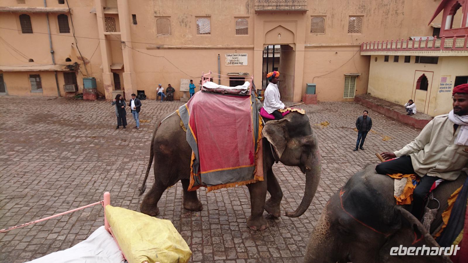 Elefantenreiten zum Amber Fort