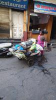 Mülltransport in Udaipur