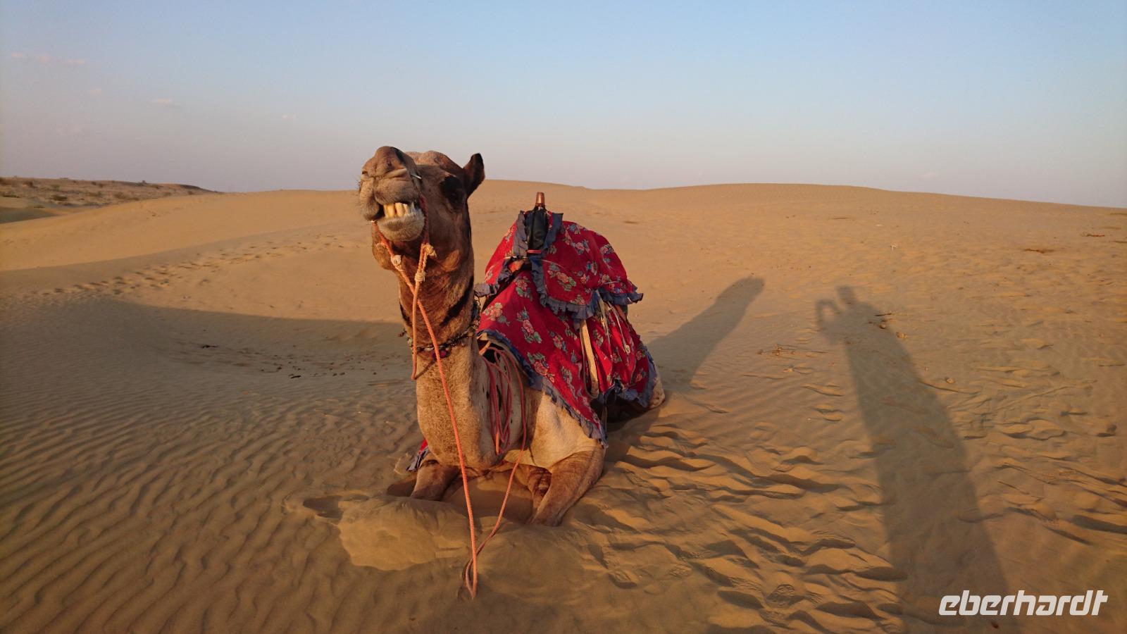 In der Wüste Thar