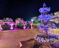 Bollywood läßt grüßen