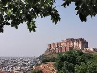 Traumblick auf die blaue Stadt Jodhpur mit dem Meherangarh Ford