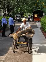 Ein Arbeiter in Ranakpur