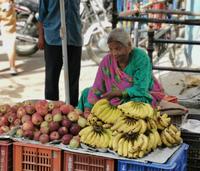 Obstverkäuferin, Udaipur