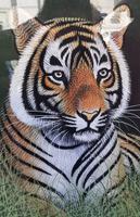 Beispiel einer Miniaturmalerei