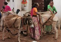 Baustellenbereinigung ganz ohne LKW, Udaipur