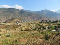 im Punakhatal: Reisterrassen