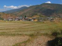 im Punakhatal auf dem Weg zum Fruchtbarkeitskloster