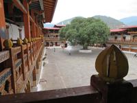 Punakha Dzong