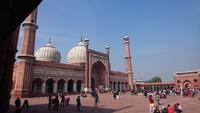 Freitagsmoschee Delhi