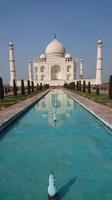 Spiegelung am Taj Mahal Agra
